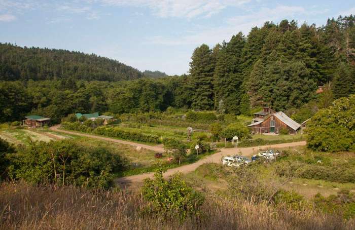Learn more about Agricultural Properties