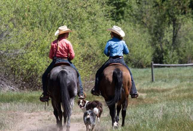 Learn more about Equestrian Properties