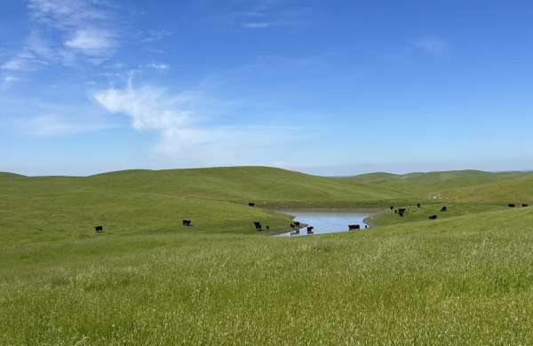 Redington Ranch