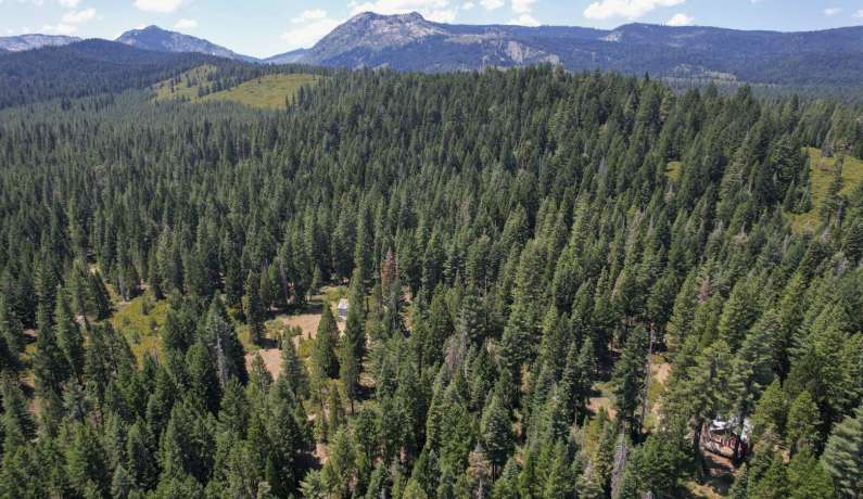 Snowshoe Flat Retreat