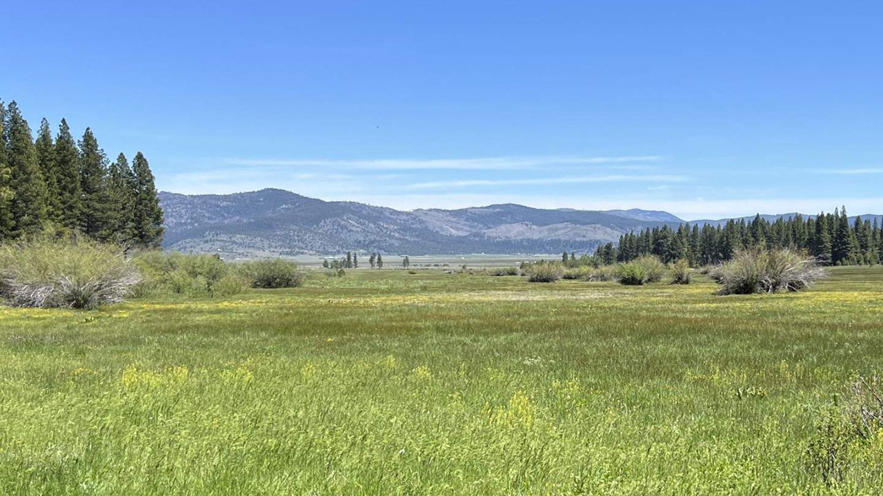 View Listing information